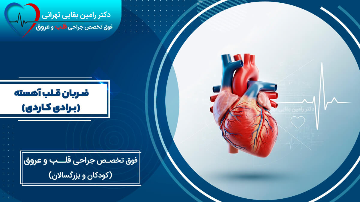 تصویر مفهومی قلب و نوار قلب همراه با متن فارسی: "ضربان قلب آهسته (برادی کاردی)" و "فوق تخصص جراحی قلب و عروق (کودکان و بزرگسالان)