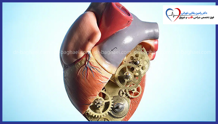 نمای نزدیک از مدل آناتومی قلب انسان که با چرخ دندههای فلزی ترکیب شده و نمادی از عملکرد مکانیکی قلب است.