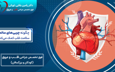 چگونه چربیهای سالم به سلامت قلب کمک میکنند؟