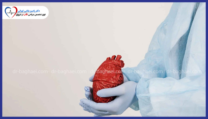 جراح با دستکش جراحی در حال نگهداری مدل آناتومیک قلب واقعی