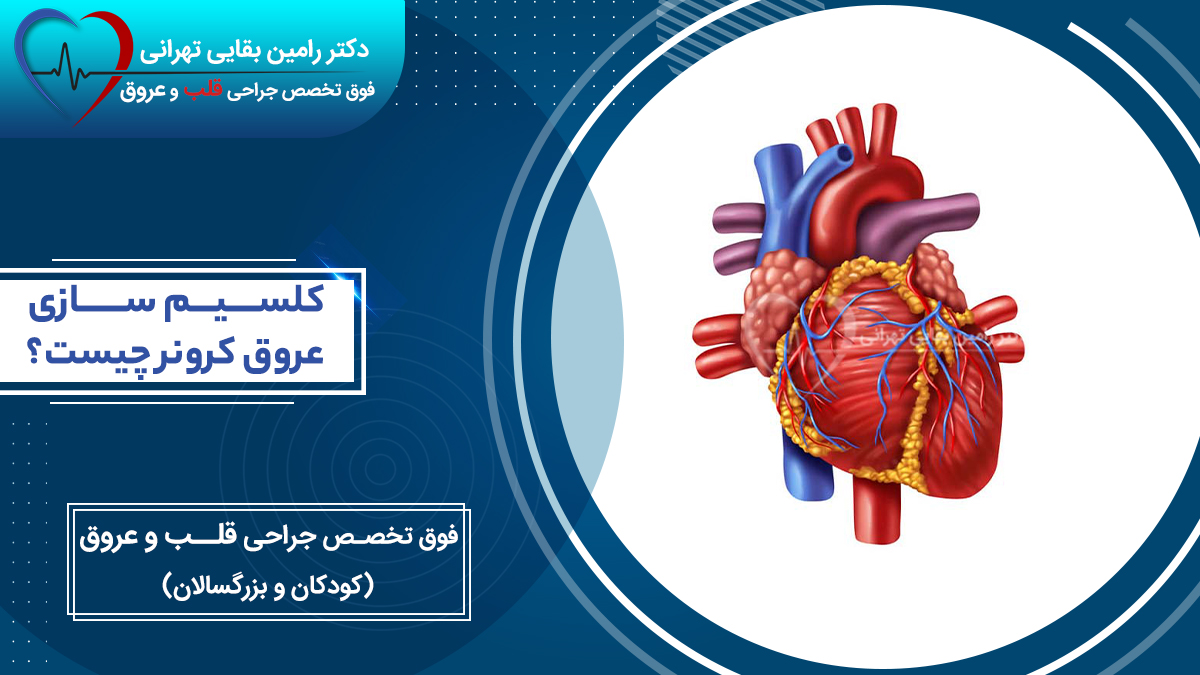 کلسیم سازی عروق کرونر قلب همراه با تصویر گرافیکی قلب انسان دکتر رامین بقایی تهرانی