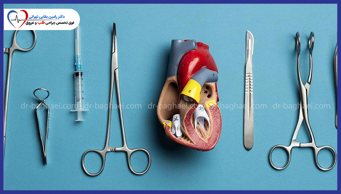 مدل آناتومیک قلب در کنار ابزار جراحی تخصصی قلب و عروق